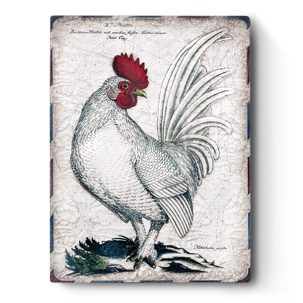 A white sculptural block with a vintage drawing of a chicken in the center, a vintage wallpaper pattern decorates behind the chicken.
